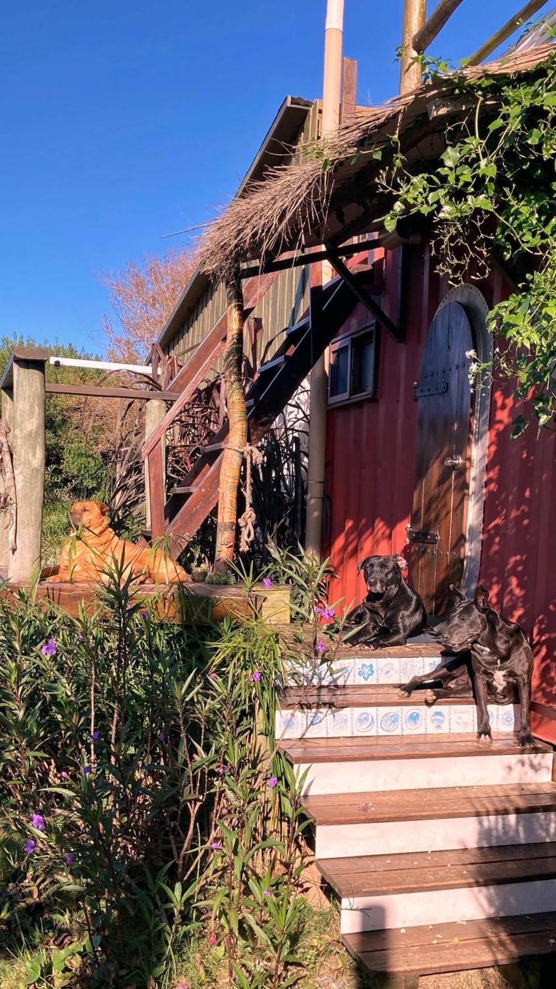 Pensjonat Angelo Punta Del Diablo Zewnętrze zdjęcie