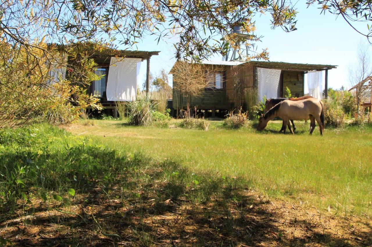 Pensjonat Angelo Punta Del Diablo Zewnętrze zdjęcie