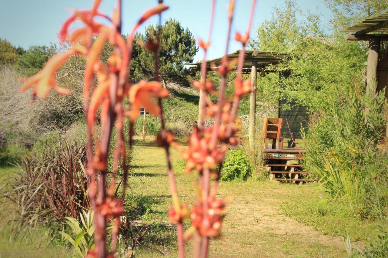 Pensjonat Angelo Punta Del Diablo Zewnętrze zdjęcie